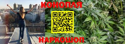 прущие грибы Донской