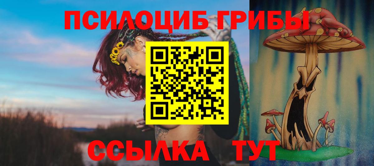 Псилоцибиновые грибы Лесной